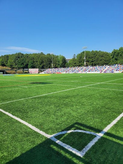 Soccer Field image 1