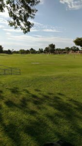 Soccer Field image 1