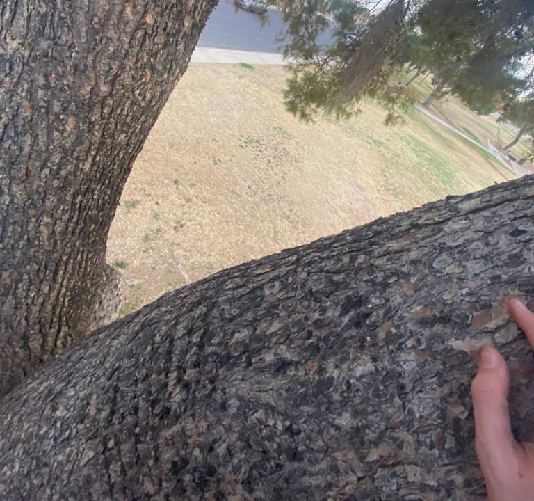 Soccer Field image 3