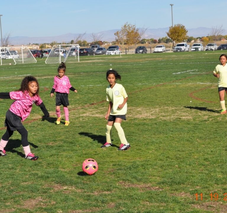 Soccer Field image 2