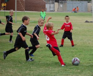 Soccer Field image 1
