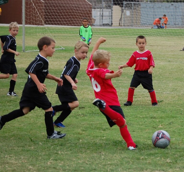 Soccer Field image 3
