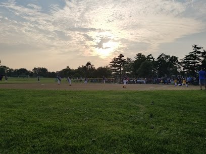Soccer Field image 1