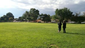 Soccer Field image 1