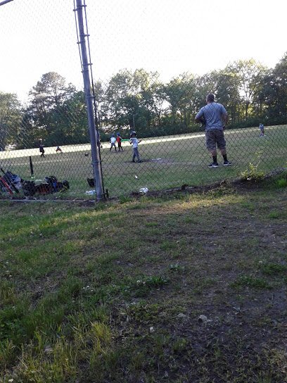 Soccer Field image 1