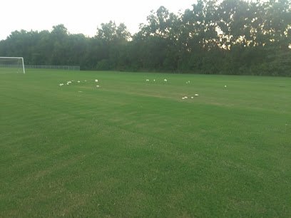Soccer Field image 1