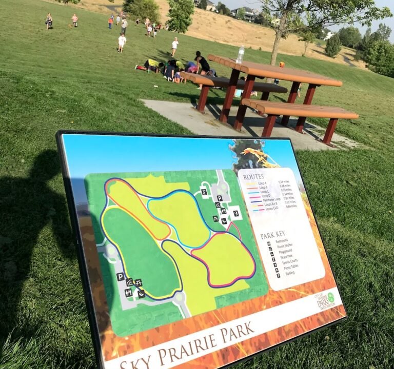 Soccer Field image 3