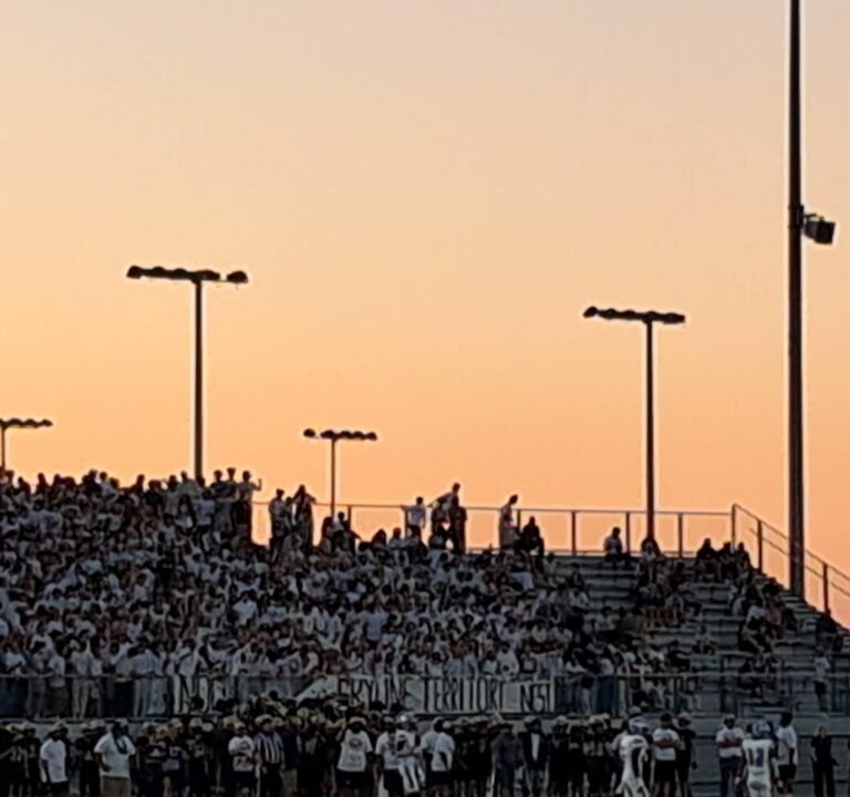 Soccer Field image 2