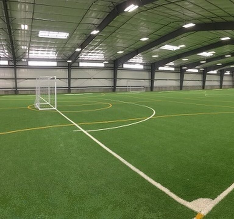 Soccer Field image 2