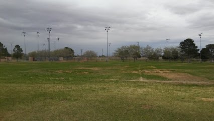 Soccer Field image 1