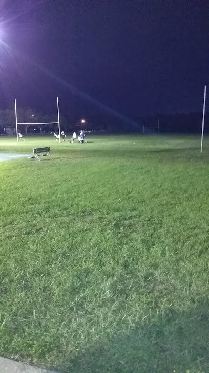 Soccer Field image 1