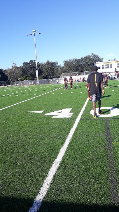 Soccer Field image 1