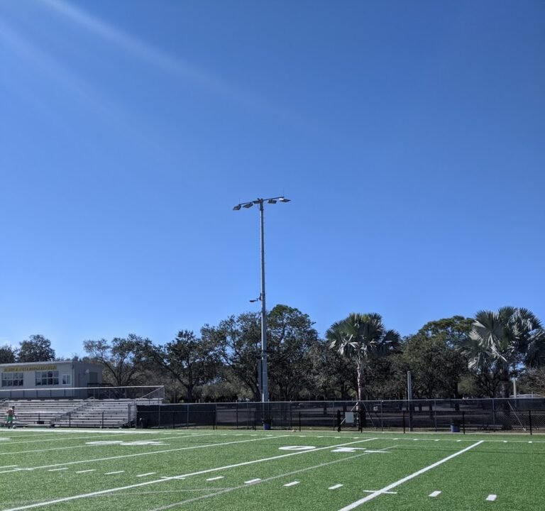 Soccer Field image 2