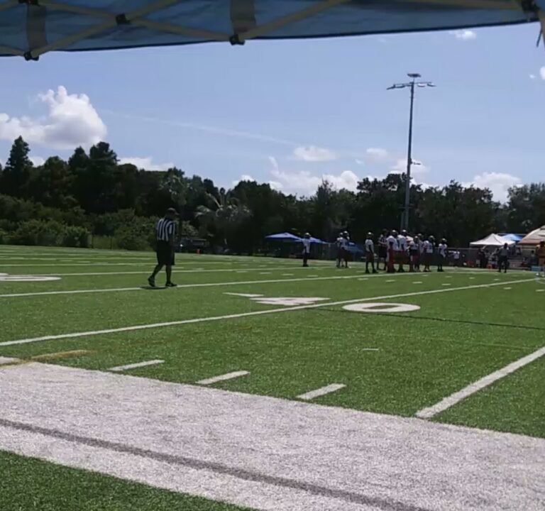 Soccer Field image 3