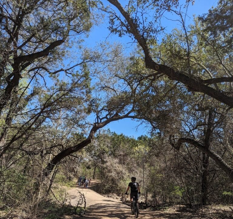 Soccer Field image 2