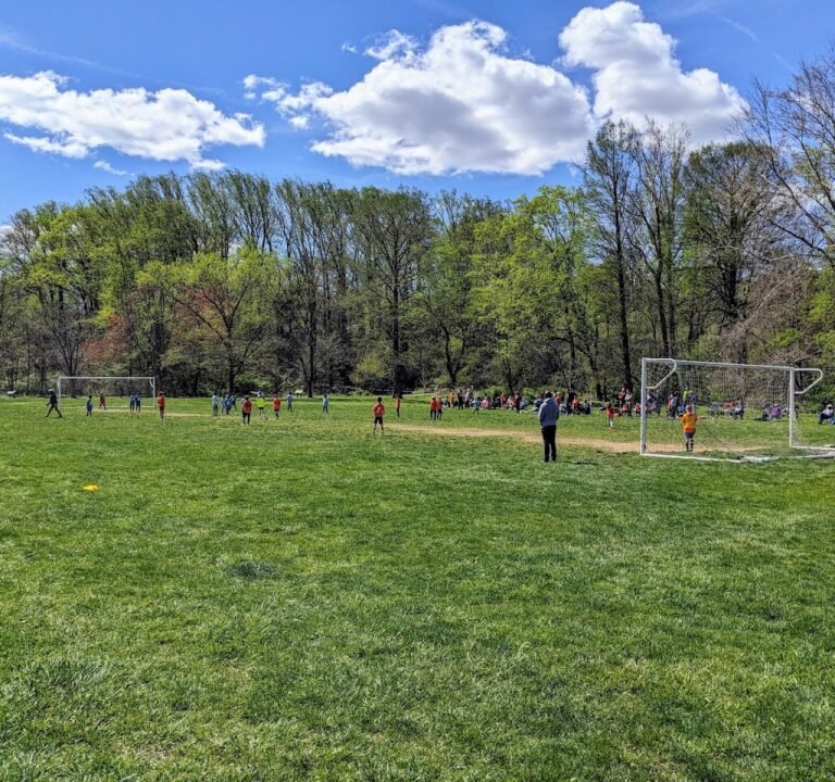 Soccer Field image 2