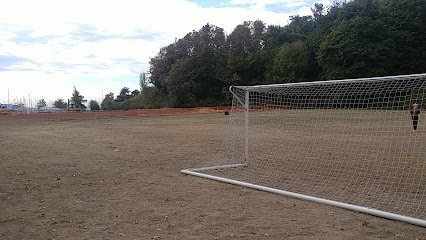 Soccer Field image 1