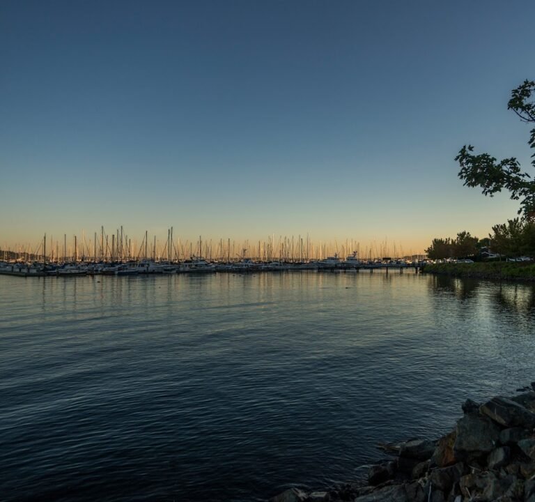 Soccer Field image 2