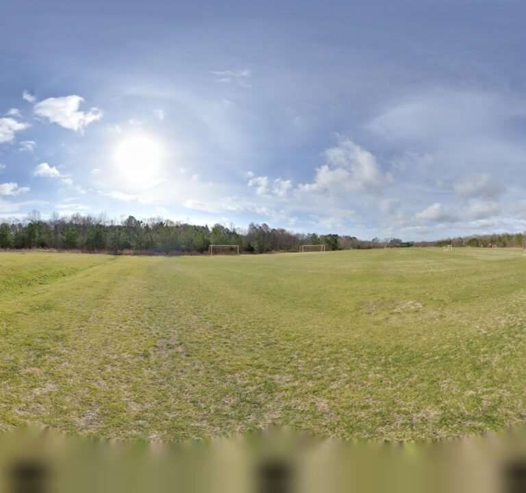 Soccer Field image 3