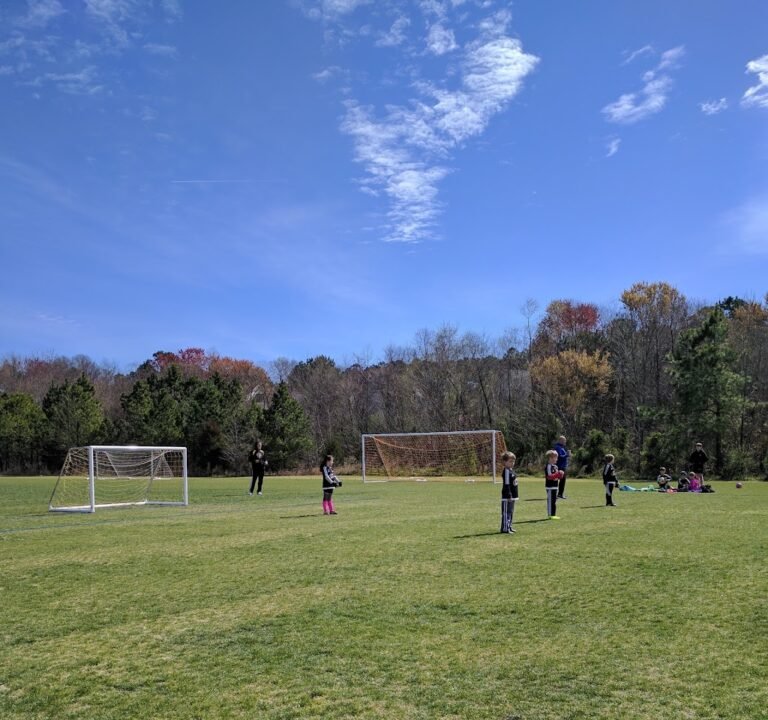 Soccer Field image 2