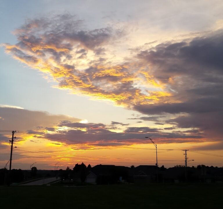 Soccer Field image 3
