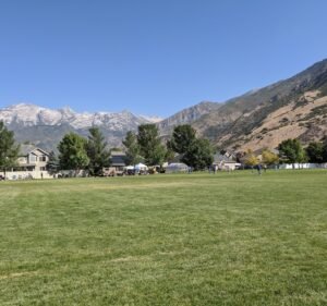 Soccer Field image 2