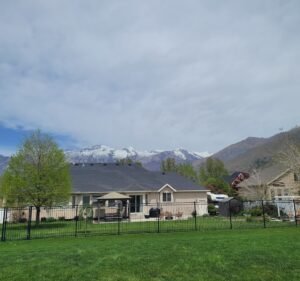 Soccer Field image 3