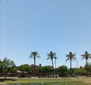 Soccer Field image 4