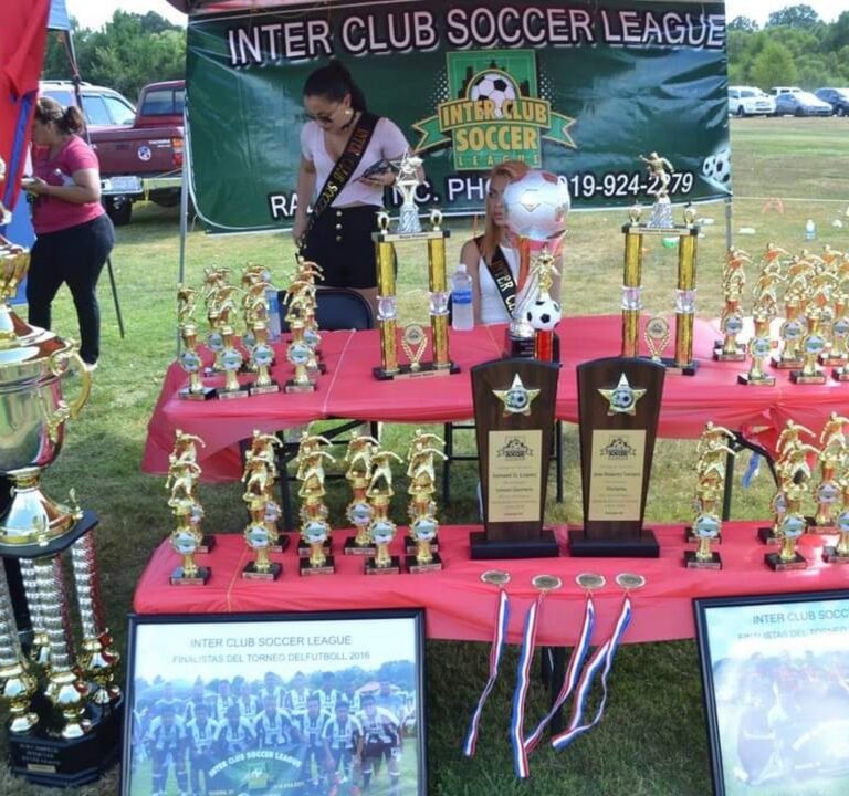 Soccer Field image 2