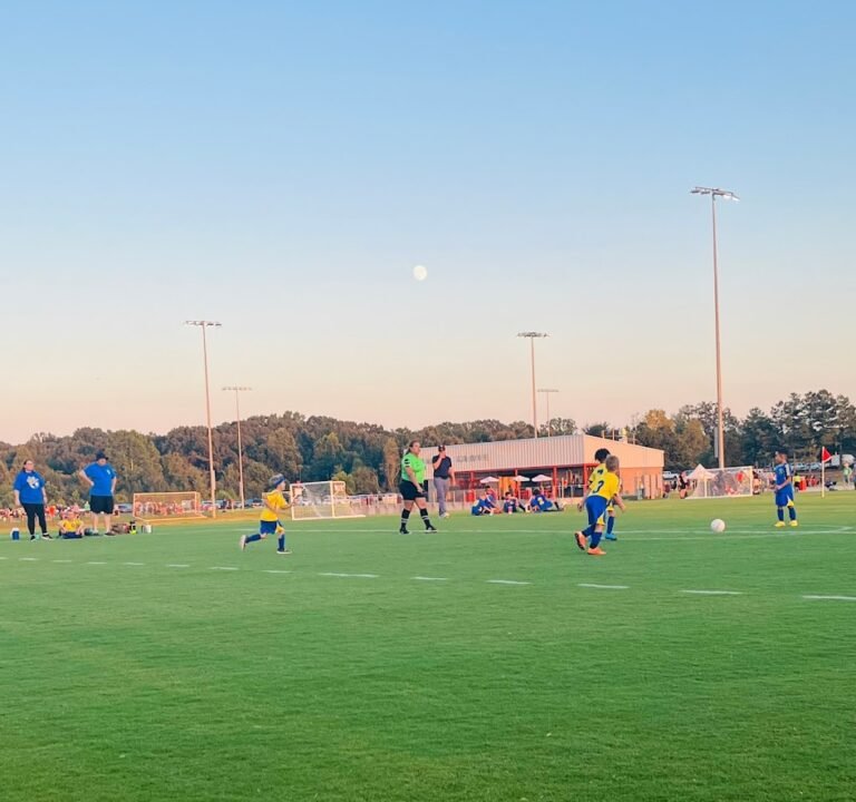 Soccer Field image 3