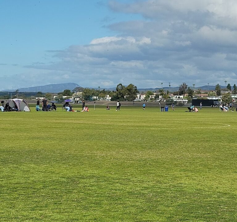 Soccer Field image 2