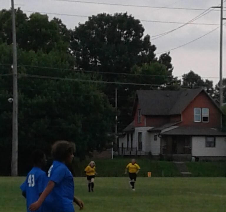 Soccer Field image 3