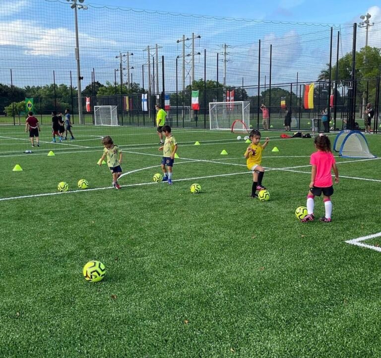 Soccer Field image 2