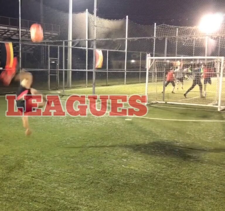 Soccer Field image 4