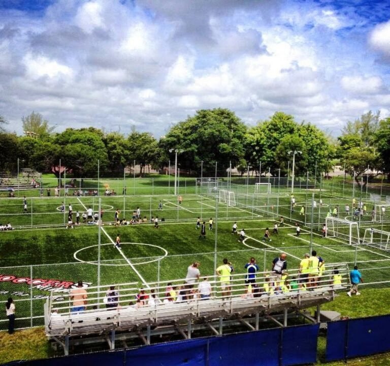 Soccer Field image 2