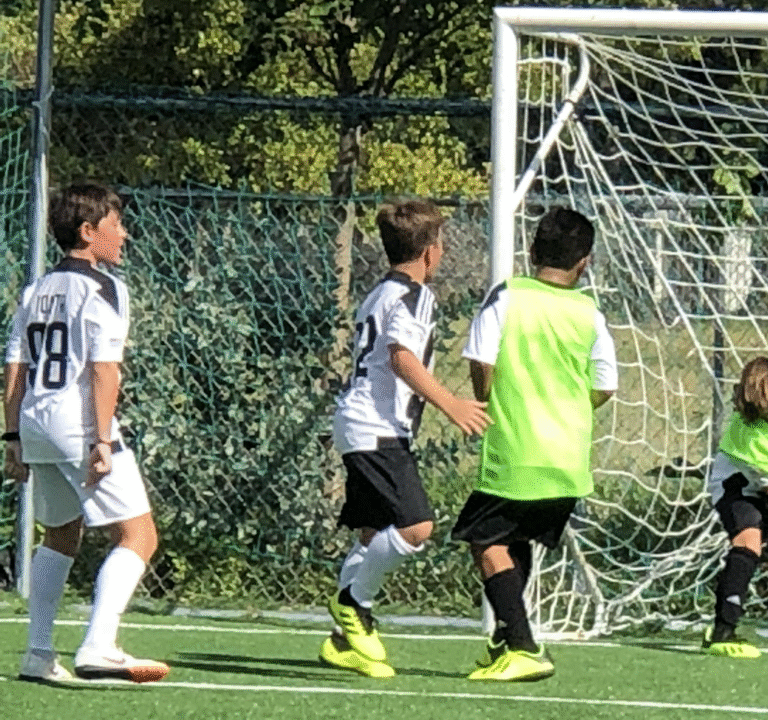 Soccer Field image 2