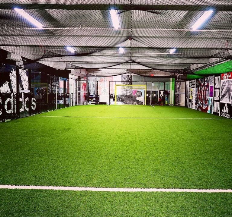 Soccer Field image 2