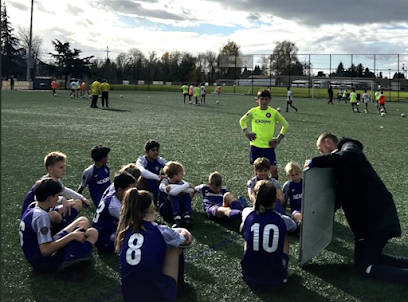 Soccer Field image 1