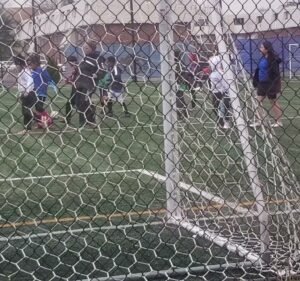 Soccer Field image 4