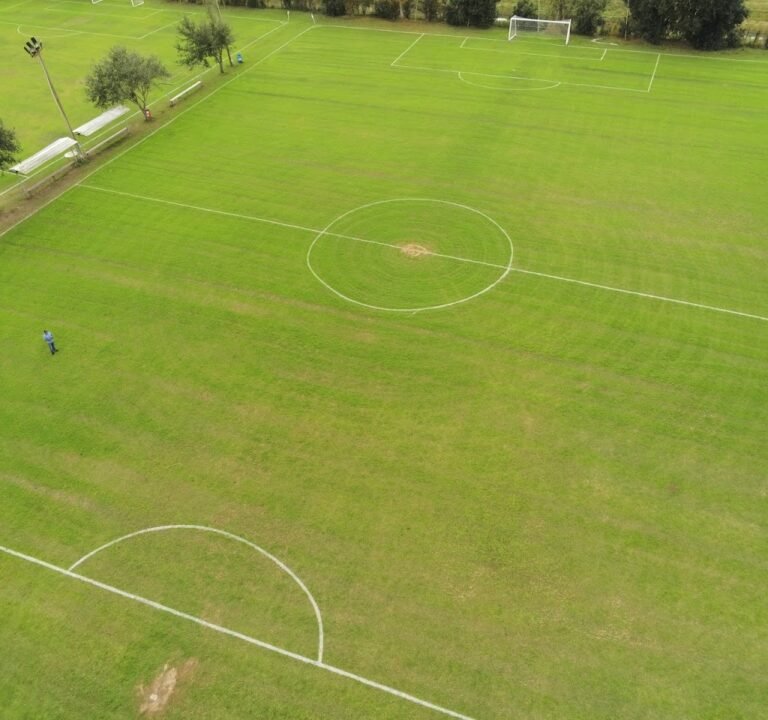 Soccer Field image 3