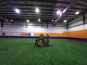 Soccer Field image 1