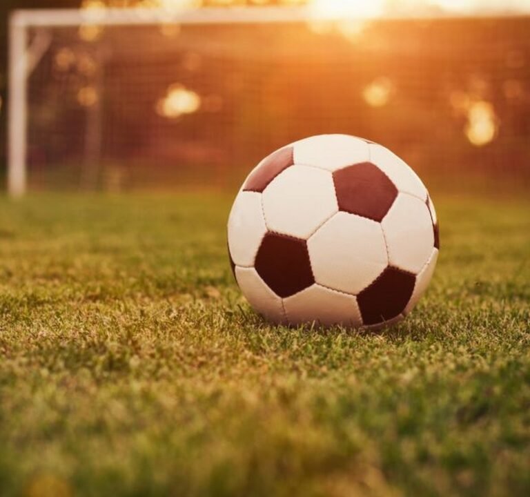 Soccer Field image 2