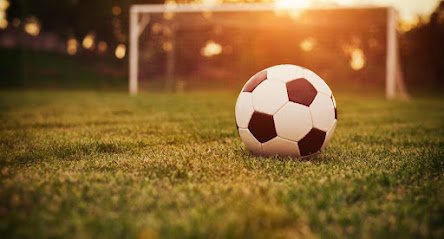 Soccer Field image 1