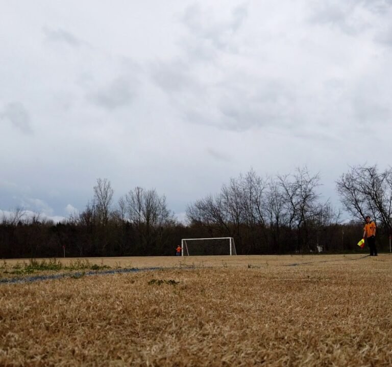 Soccer Field image 2