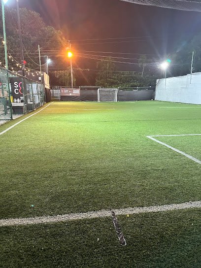 Soccer Field image 1