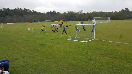 Soccer Field image 1