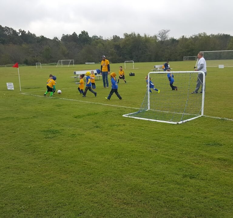 Soccer Field image 3