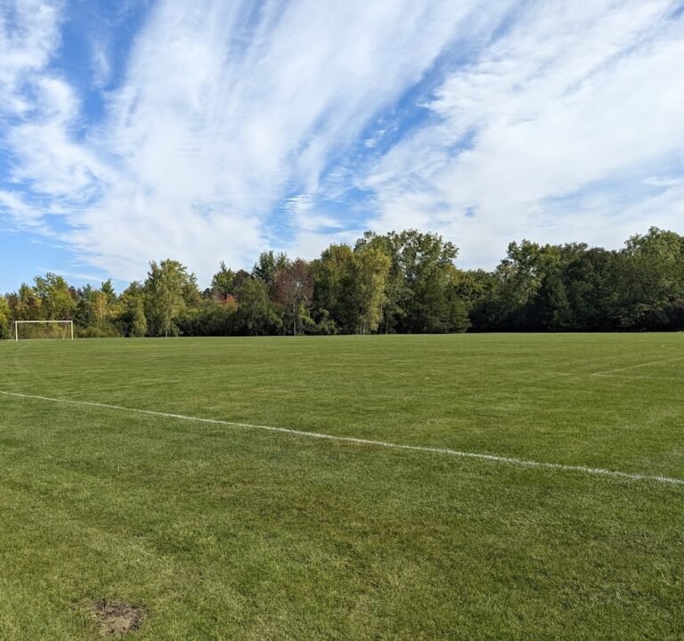 Soccer Field image 2
