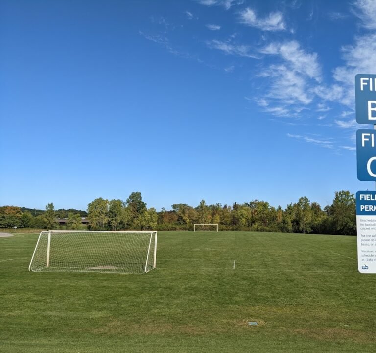 Soccer Field image 3