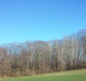 Soccer Field image 2